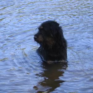 Meet your Posher, Maureen